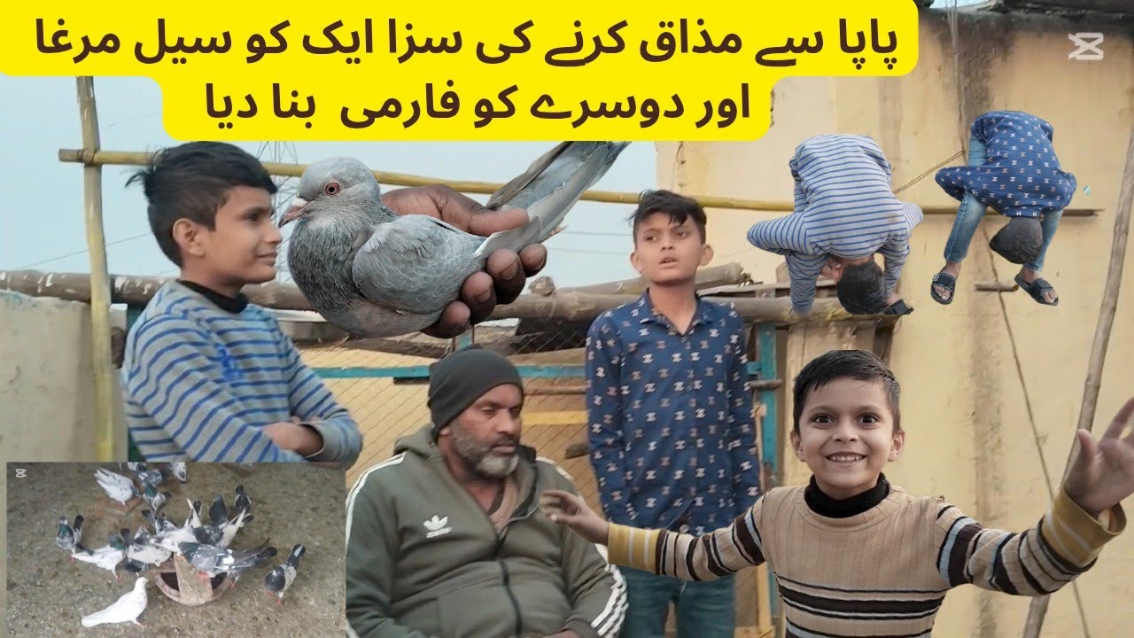 حسنین کو پرینک مہنگا پڑ گیا 