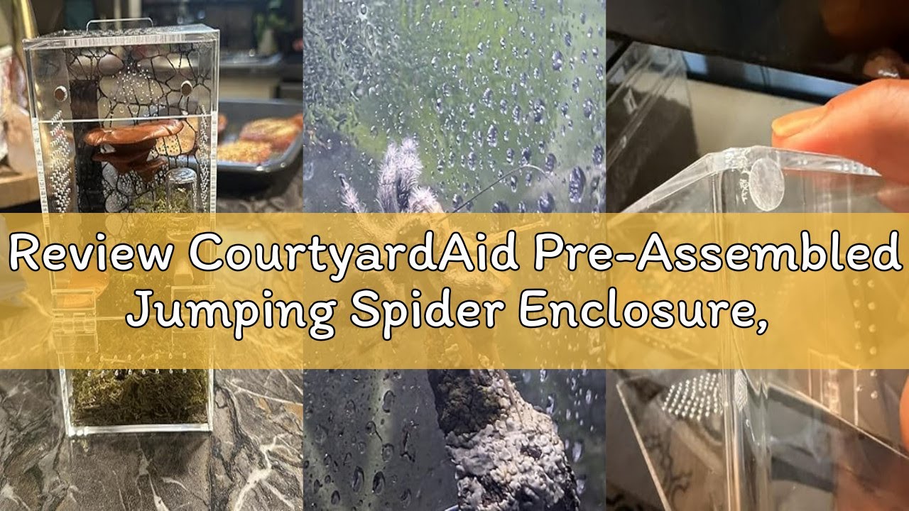 Review CourtyardAid Pre-Assembled Jumping Spider Enclosure, Acrylic Terrarium with Magnetic Door & A