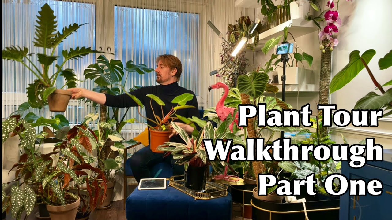 Plant tour, Plant walk-through 2022