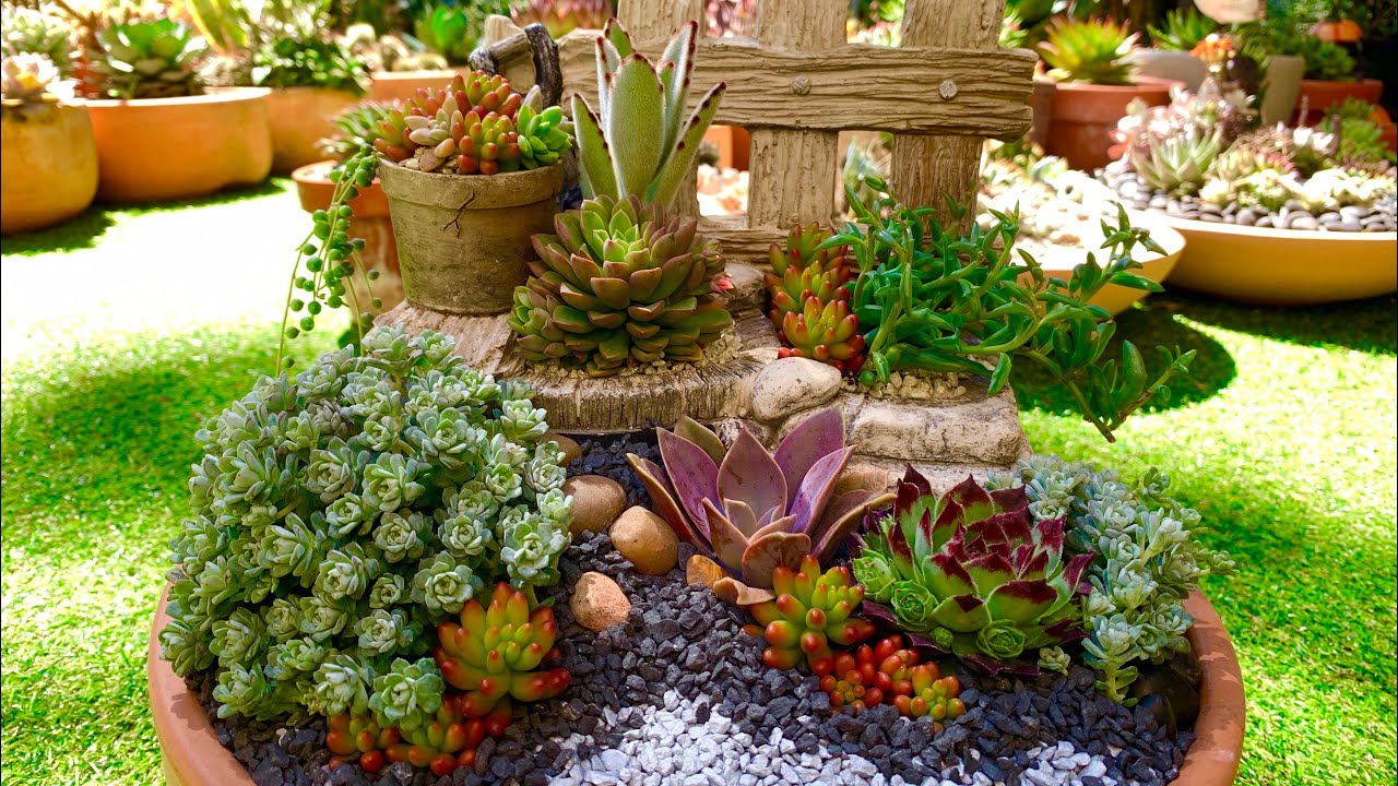 Succulent Garden Dish Arrangement