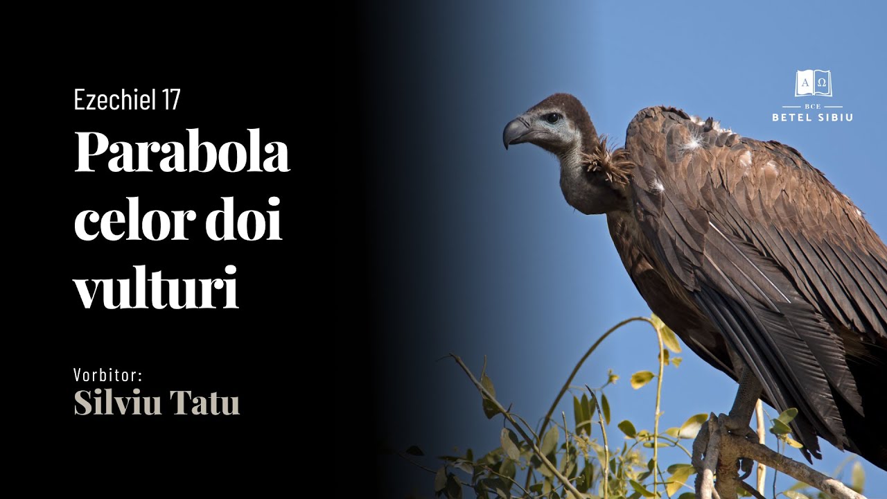 Parabola celor doi vulturi |  Ezechiel 17  |  Silviu Tatu