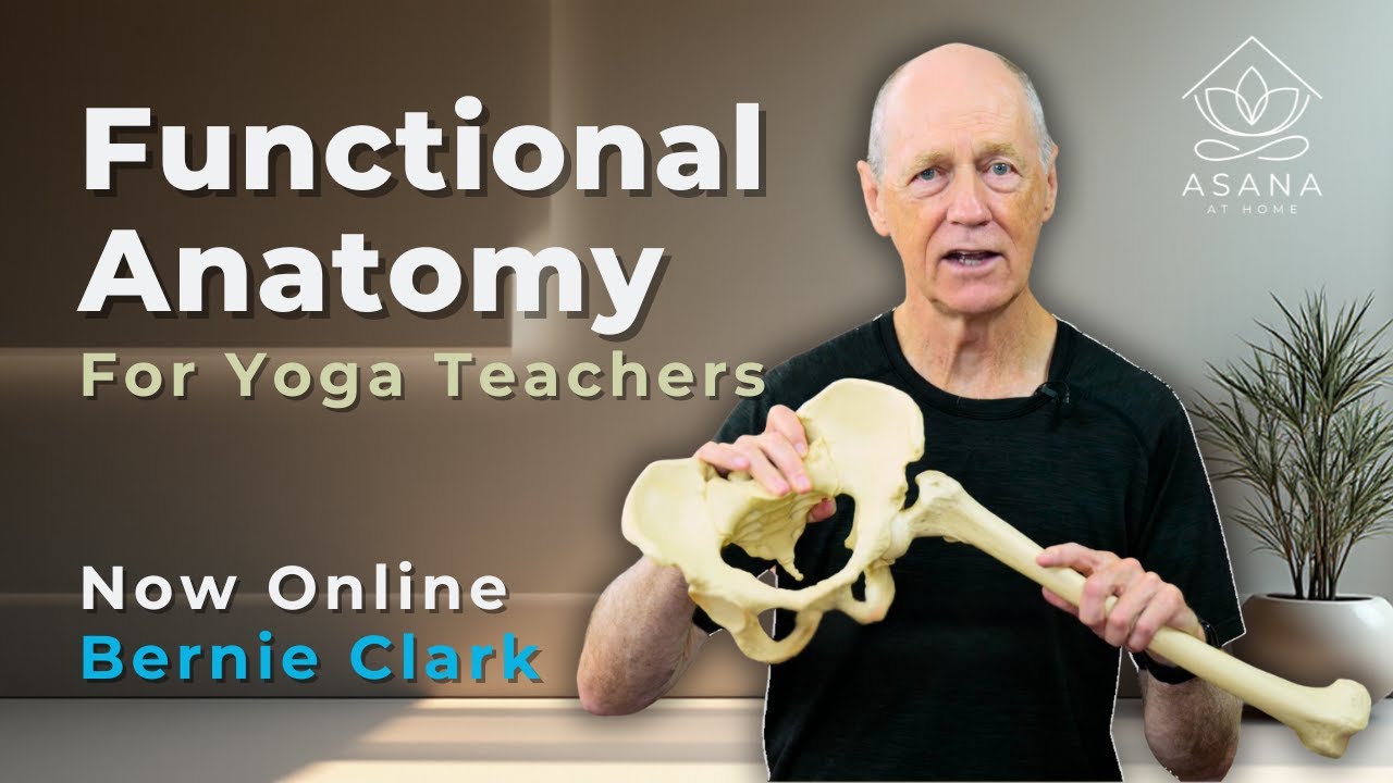 Functional Anatomy for Yoga Teachers: Real Bodies, Real Movement with Bernie Clark