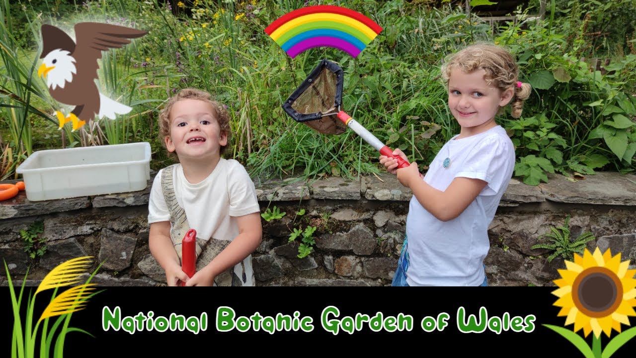 Family Fun at National Botanic Garden of Wales 🌿🐦 – Exploring Glasshouse & Nature Trails