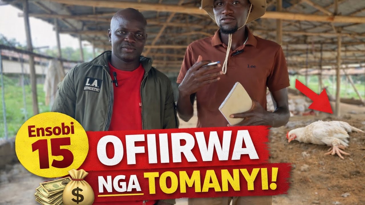 OMULUNZI w’Enkoko e Uganda? ENSOBI EZIKUFIIRIZA SSENTE VET(OMUSAWO) Z’AYANJULUDDE!
