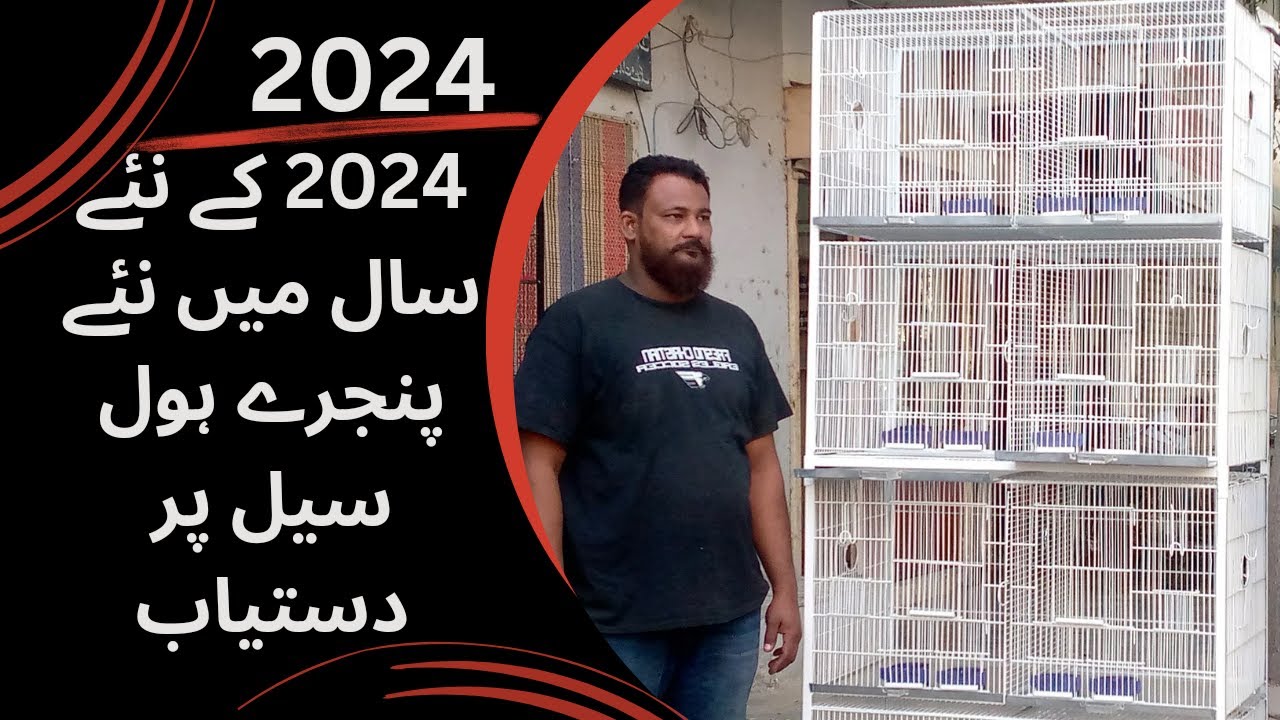 Cage Wholesale shop & factory in karachi |Bird's cages in cheap prices details in urdu bird's market