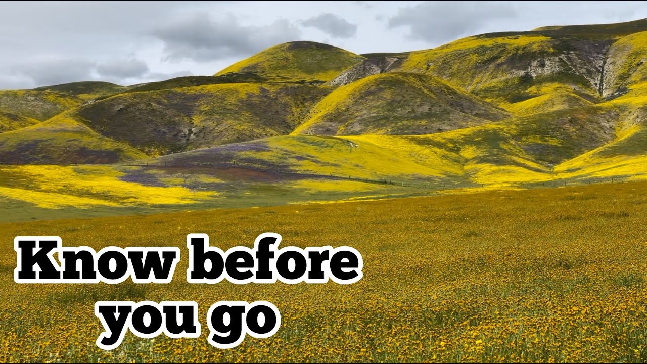 Explore an Unforgettable Natural Wonder: Carrizo Plain National Monument