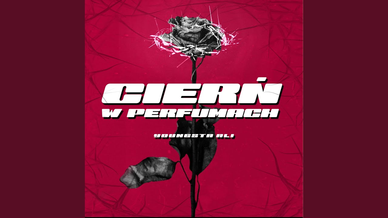 Po cienkim lodzie