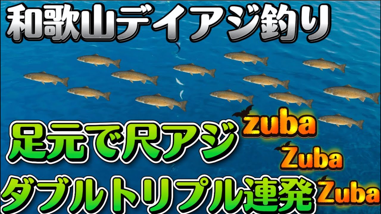 【和歌山ディ尺アジ】足下でダブル!トリプル!連発‼️尺アジ太刀魚も釣れる‼️昼間から激アツ大爆釣✨