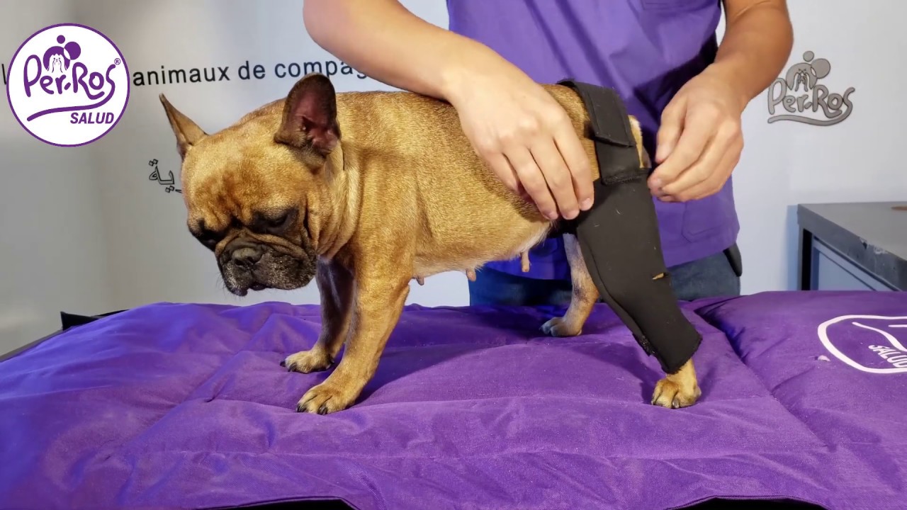 Protector de Rodilla y Muslo
