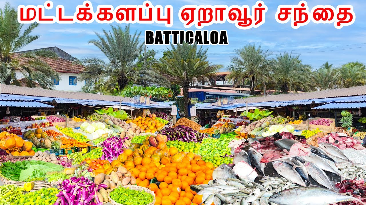 மட்டக்களப்பு ஏறாவூர் சந்தை | Batticaloa Eravur Market Explore Tour | Sri Lanka