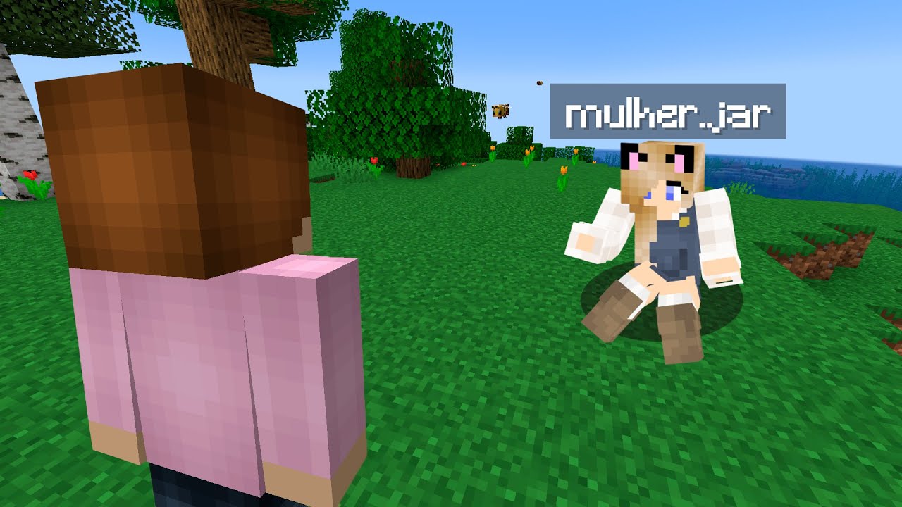 instalei mulher no minecraft