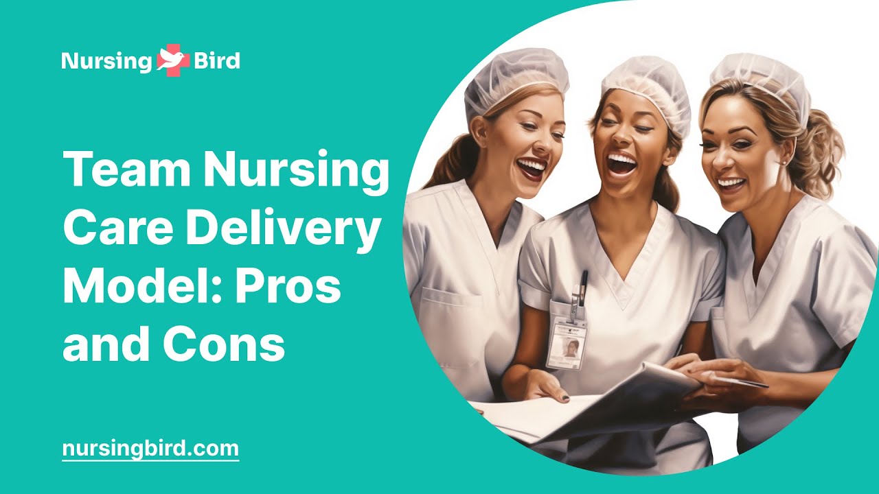 Team Nursing Care Delivery Model: Pros and Cons - Essay Example