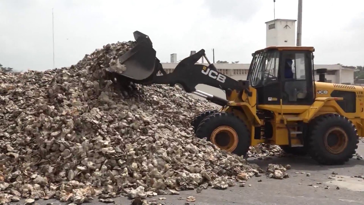 La plus grande usine de caoutchouc naturel d’Afrique inaugurée en Côte d'Ivoire.