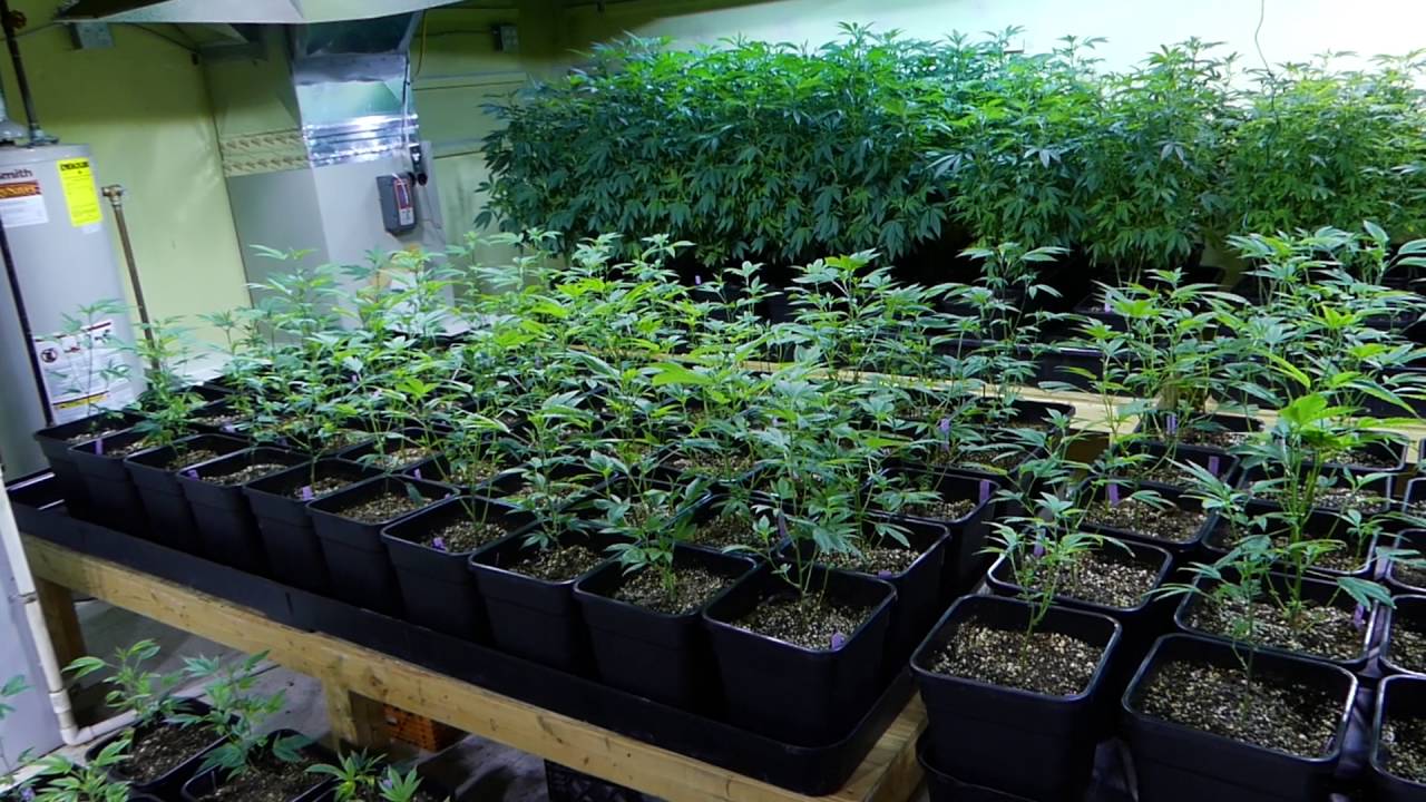 In Depth Look at the Nursery 1 of 3 - LAYOUT