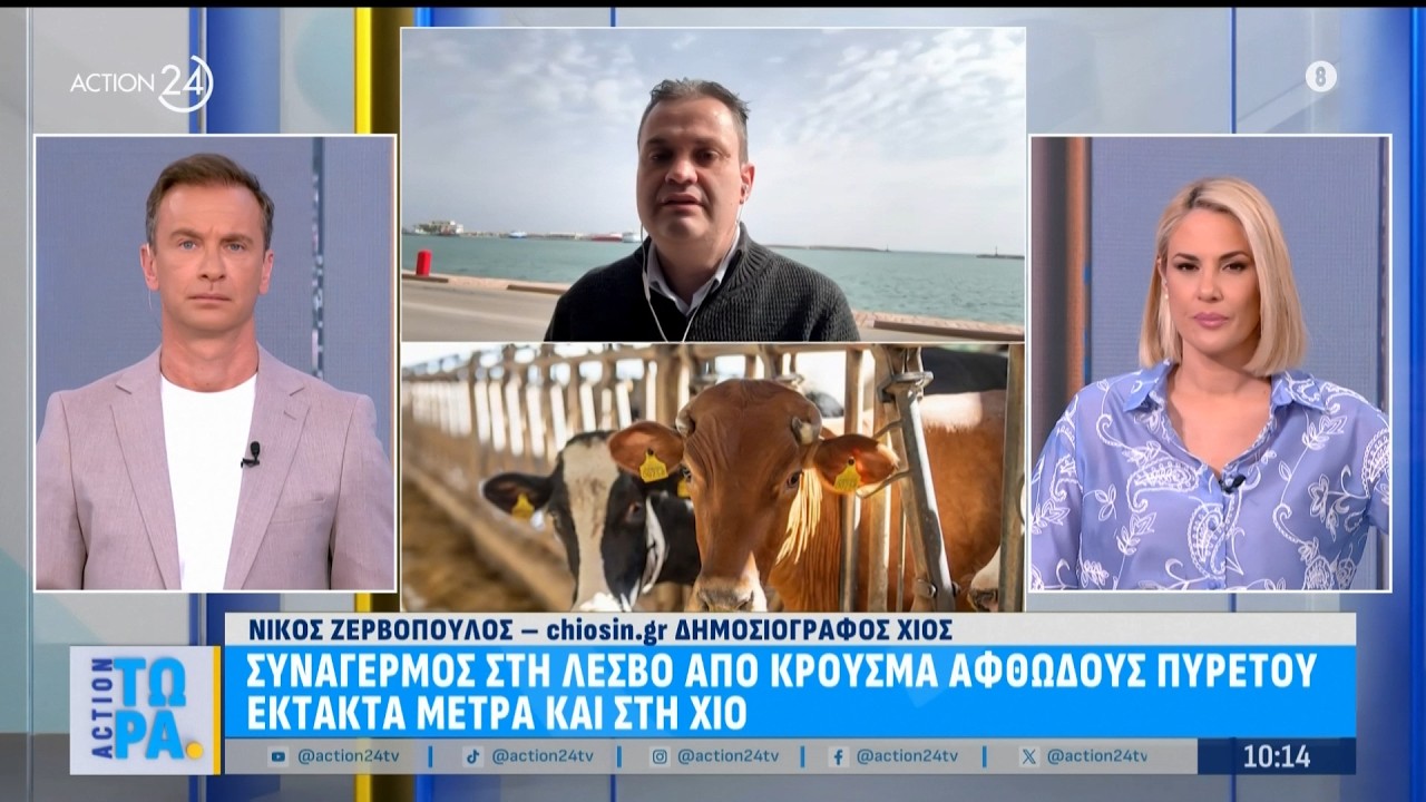 Συναγερμός στη Λέσβο από κρούσμα αφδώδους πυρετού - Έκτακτα τα μέτρα και στη Χίο | ACTION 24