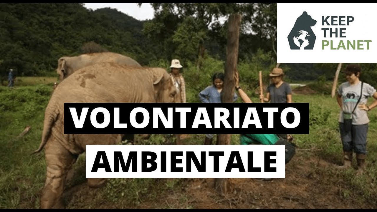(EP 4) Cos'&egrave; il volontariato ambientale e perch&eacute; partecipare