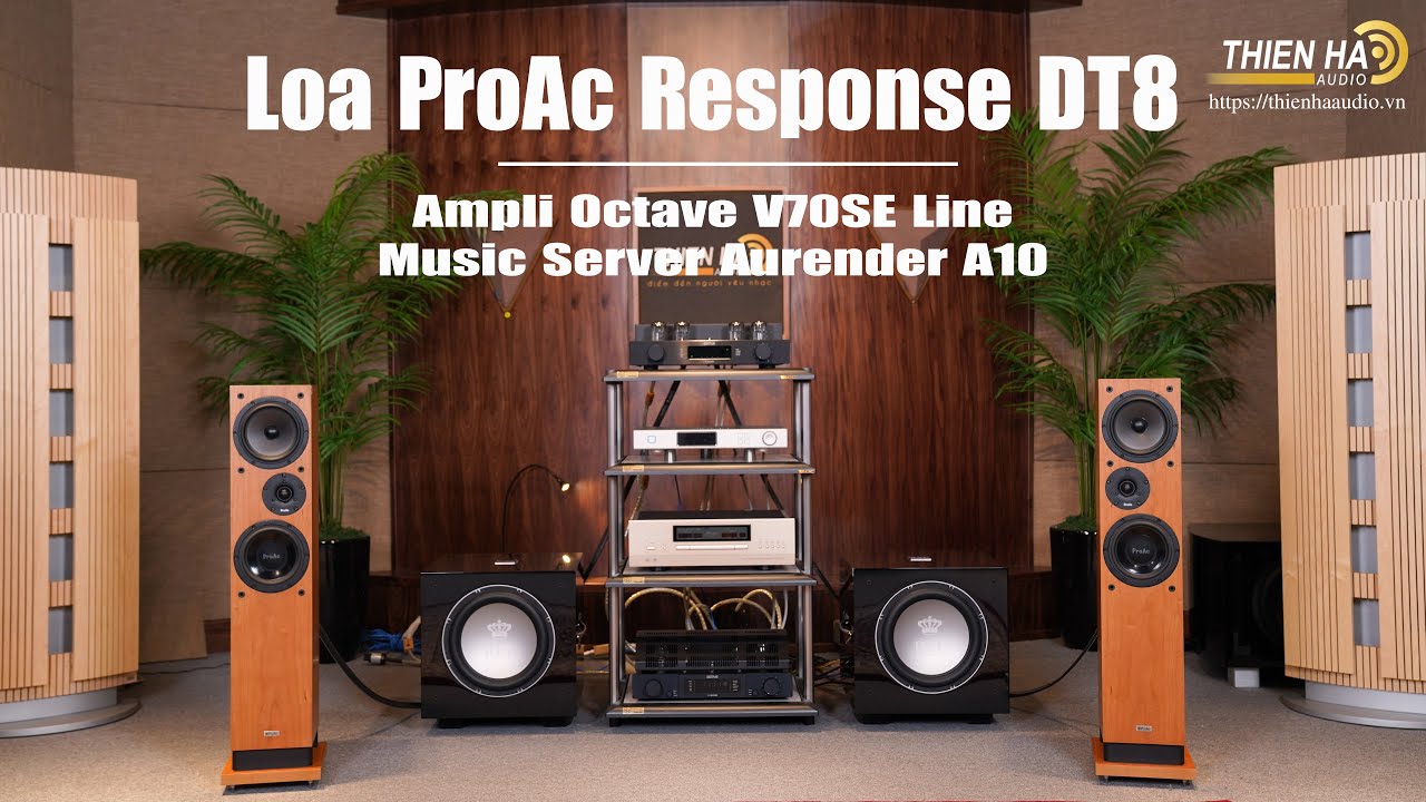 Loa ProAc DT8 Phối Ghép Ampli Octave V70SE Line + Aurender A10 - Ngọt Ngào, Giàu Cảm Xúc