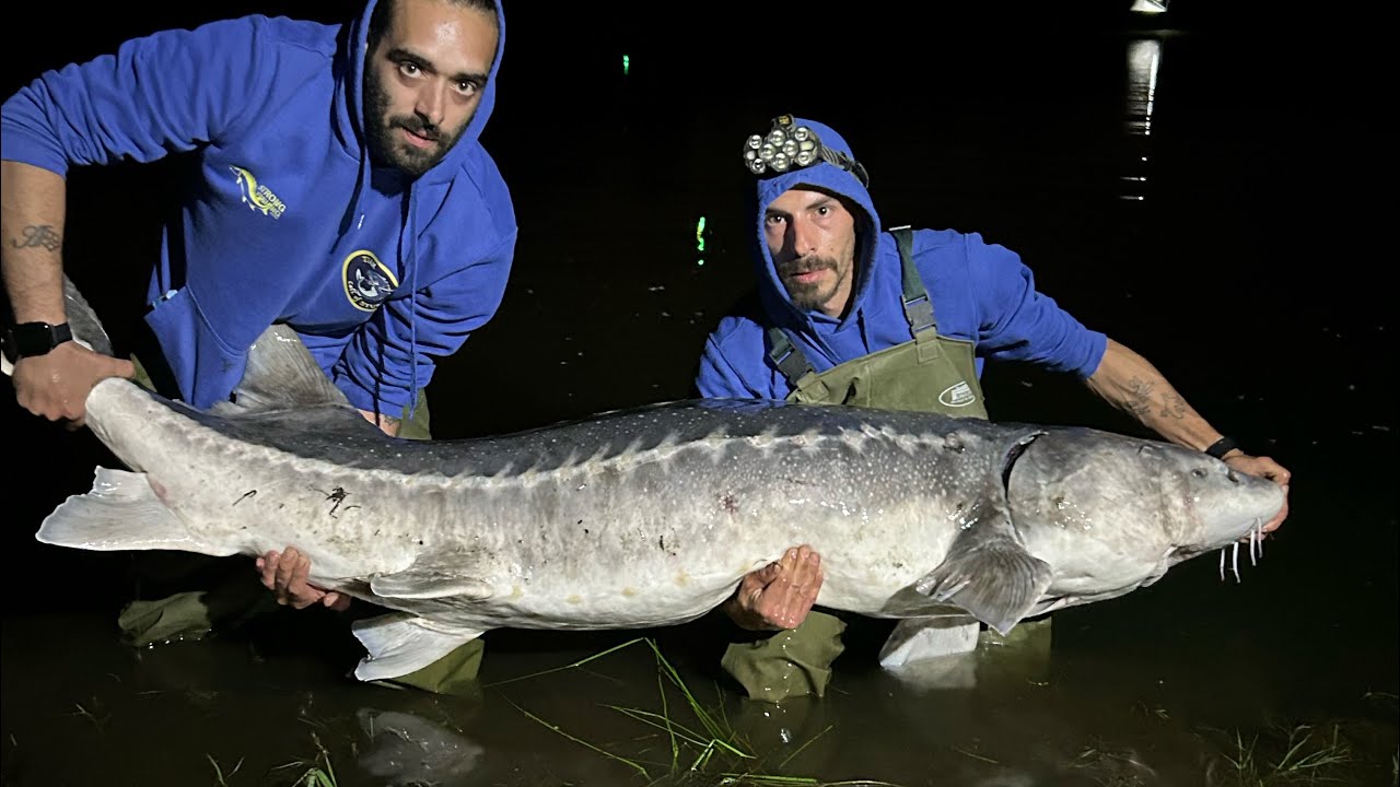 Pesca allo storione al lago jurassick lake il lago dei storioni giganti notturna a caccia di giganti
