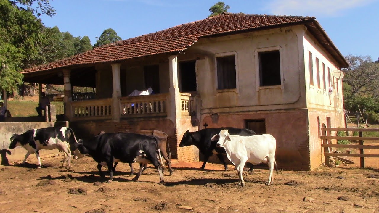A ROÇA DO SEU DIMAS - CACHOEIRA DE MINAS