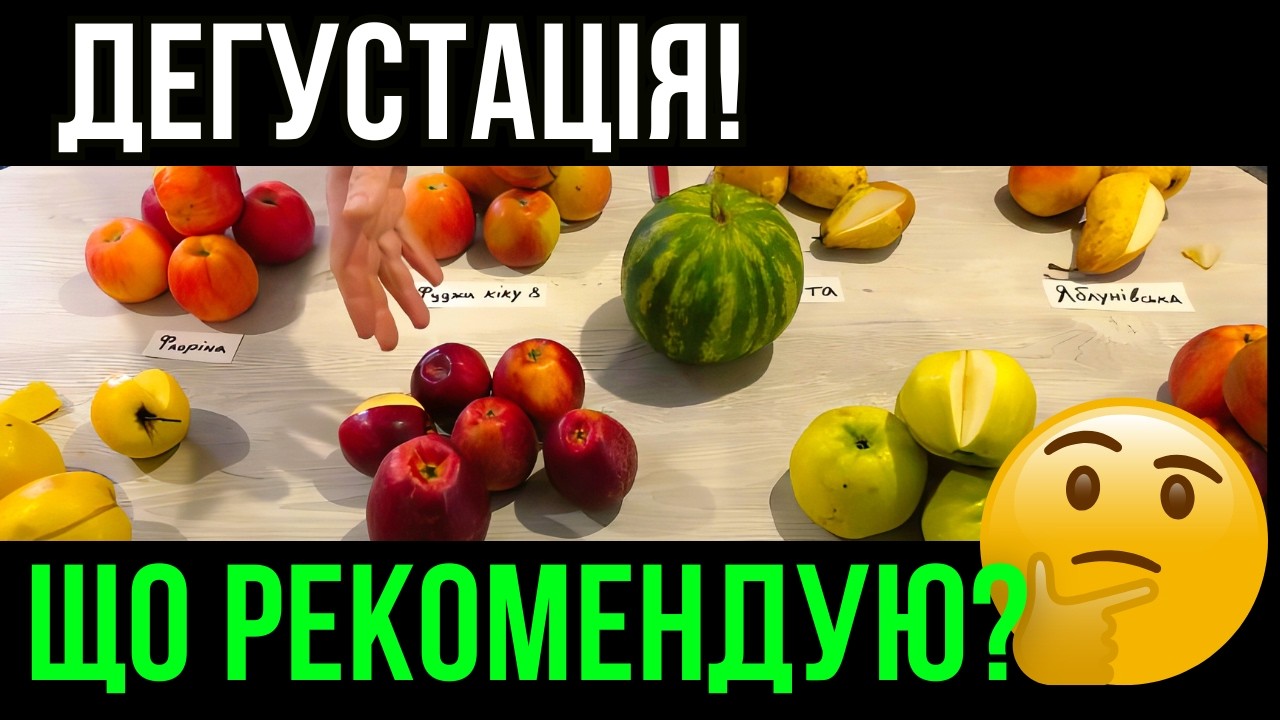 8 сортів яблук та груш, Кавун | Який найсолодший та найхрусткіший?
