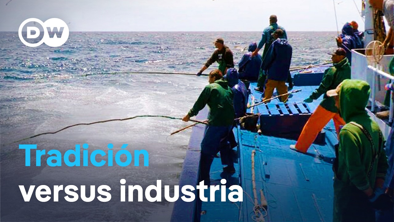 ¿Asfixiados por la UE? Los últimos pescadores con caña de las Azores | DW Documental