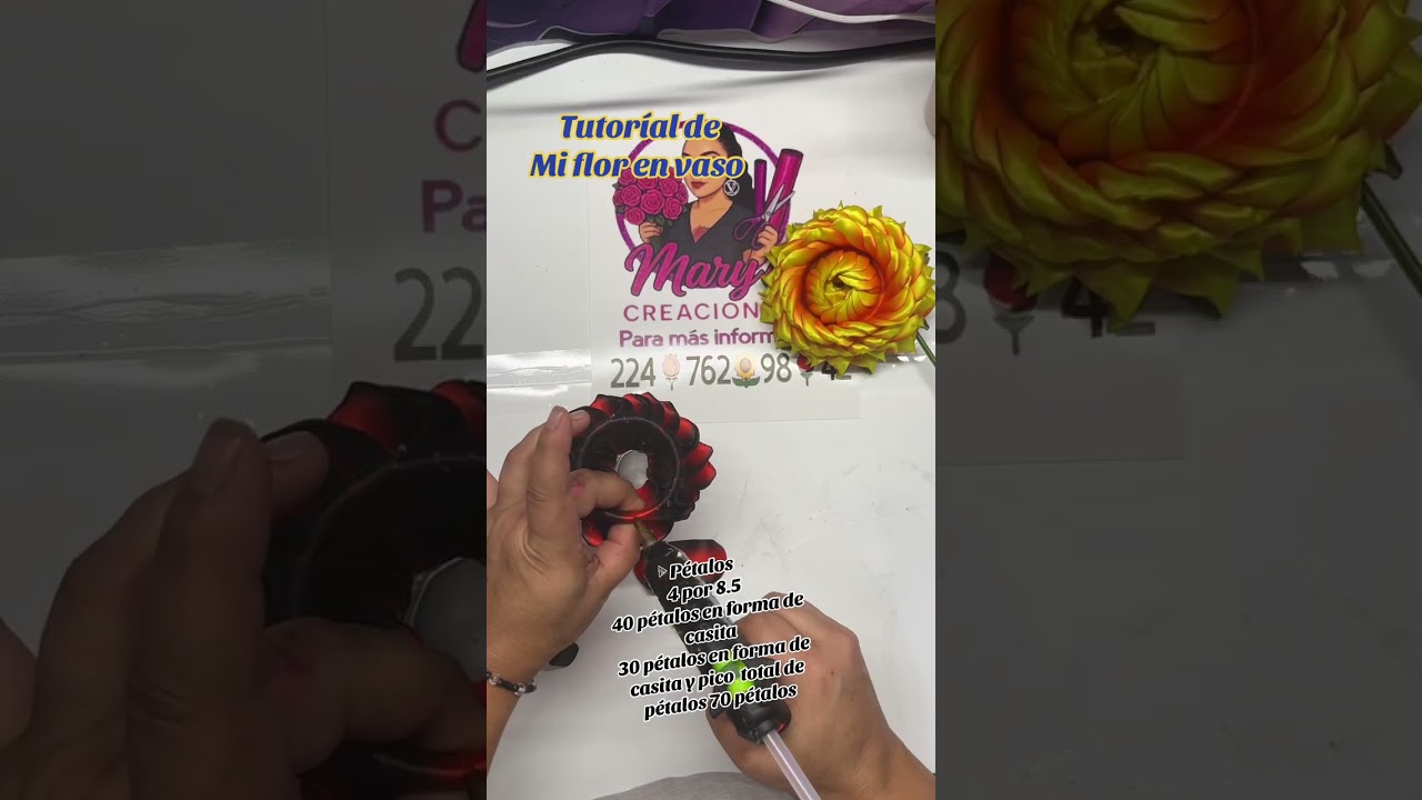 6 de febrero de 2026