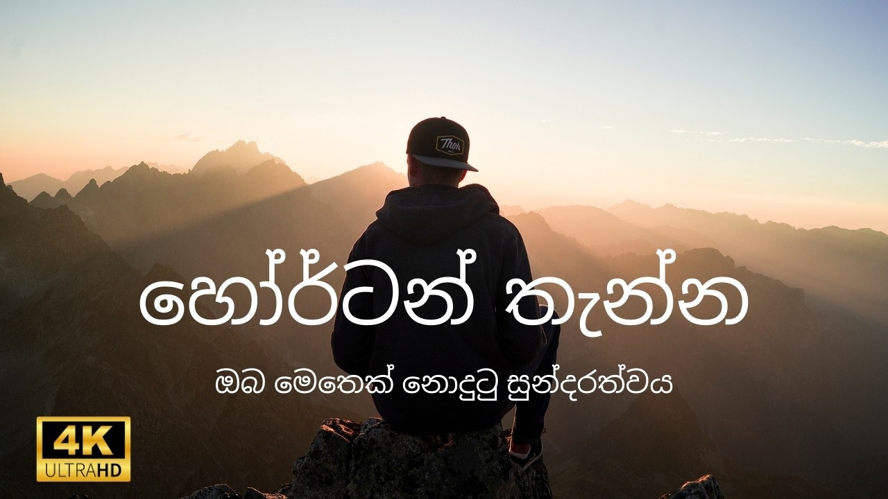 හෝර්ටන් තැන්නේ ඔබ නොදුටු චමත්කාරය | කදුකර කොටියා | HORTON PLAINS | Sri Lanka’s Natural Marvel