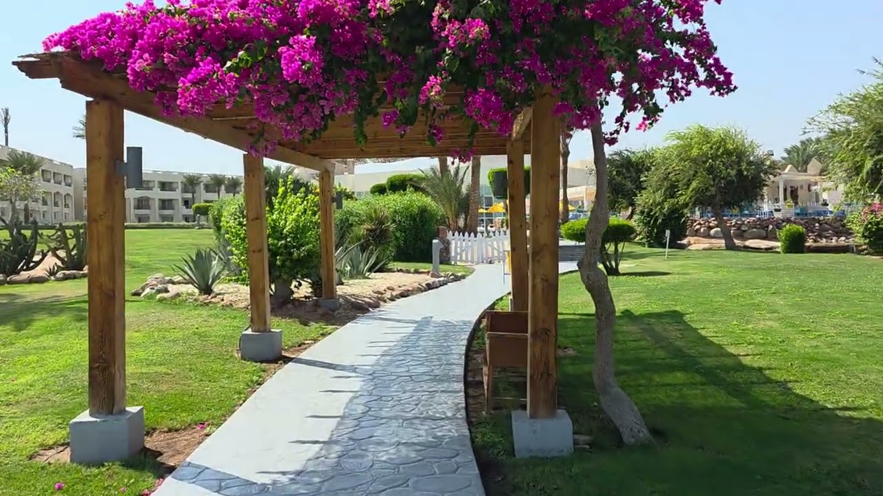 Aurora Oriental Resort Sharm El Sheikh | Beach to Reception | Sept 2025 unfiltered 