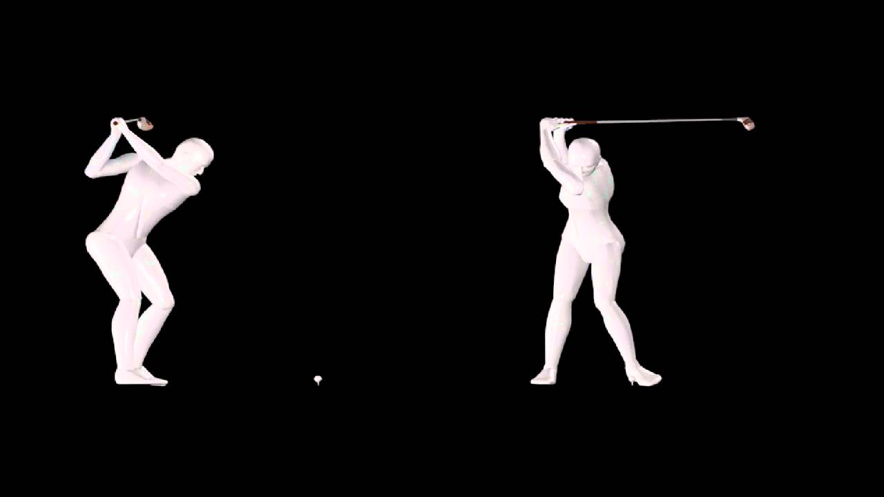 Model Swing - DTL & Face On