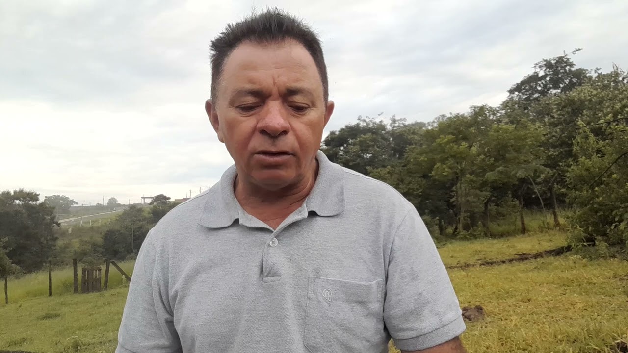 8 de fevereiro de 2026