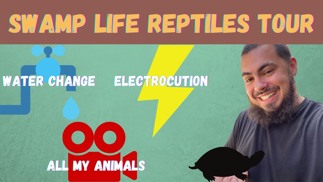 TOUR 🐢 WATER CHANGE 💦 AND ELECTROCUTION ⚡️