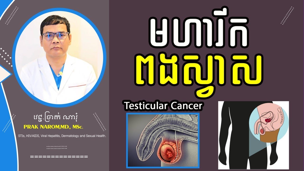 ជំងឺមហារីកពងស្វាស-Testicular Cancer