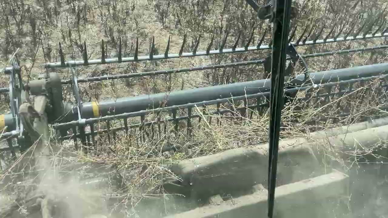 Harvest 2025 Day 23