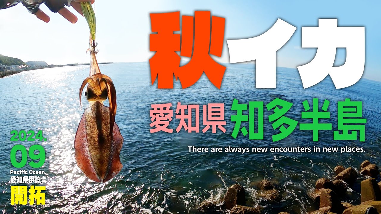 愛知県知多半島で「秋イカ」エギング！南知多で新子アオリイカを釣る！【秋の海釣り】
