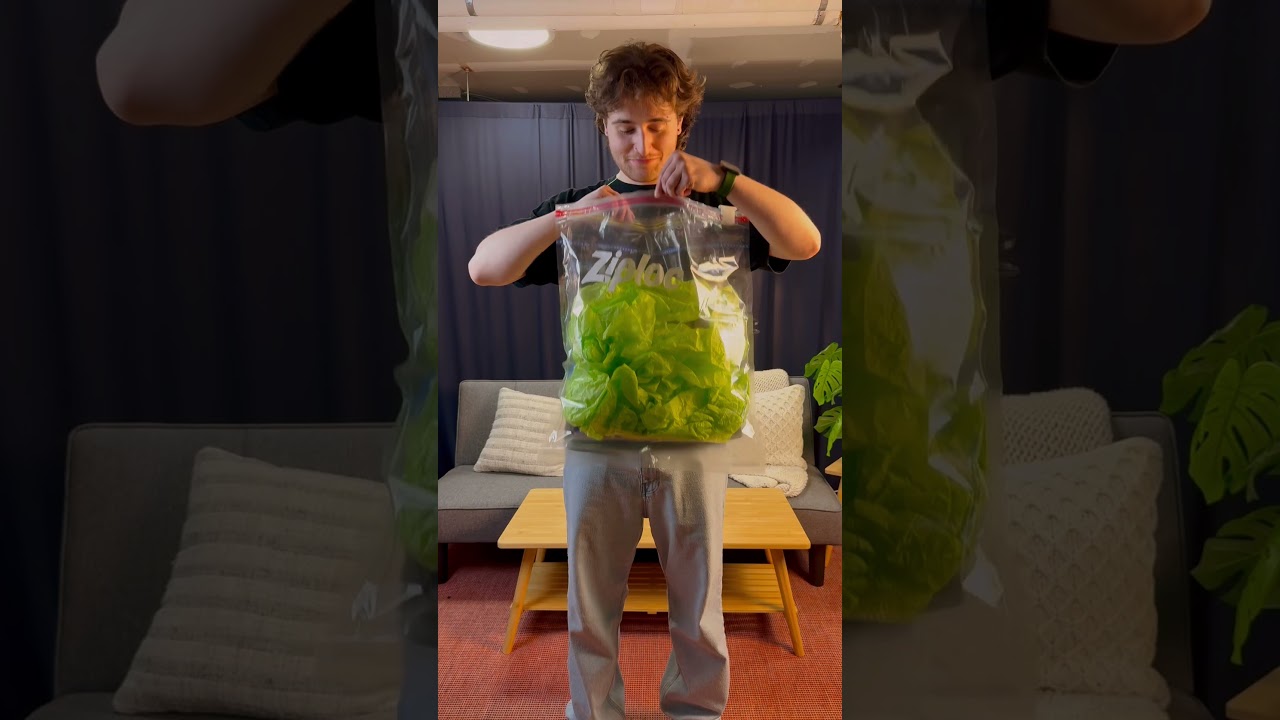 DIY Halloween Costumes ⏰ Quick & Easy ||  