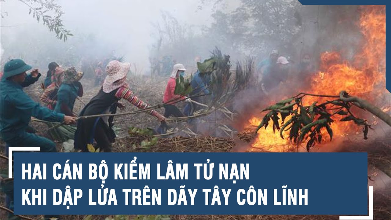 Hai cán bộ kiểm lâm tử nạn khi dập lửa trên dãy Tây Côn Lĩnh | VTs