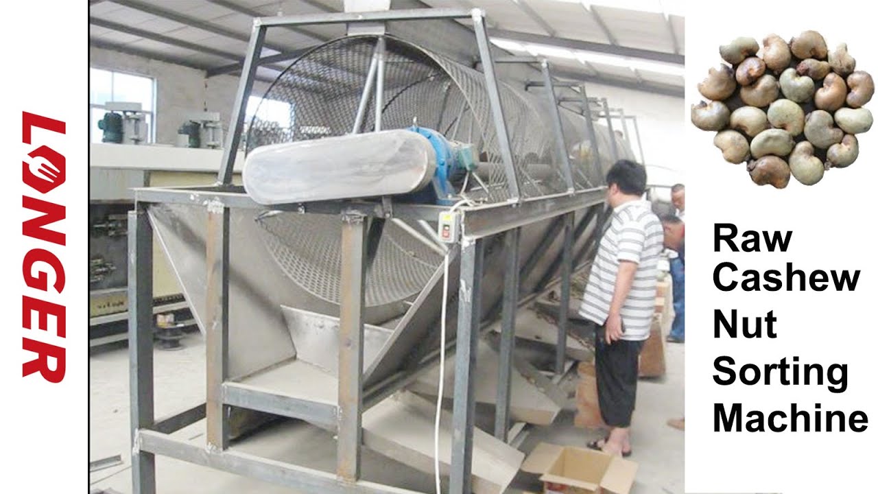 Raw Cashew Nut Size Sorting Grading Machine, Large Scale