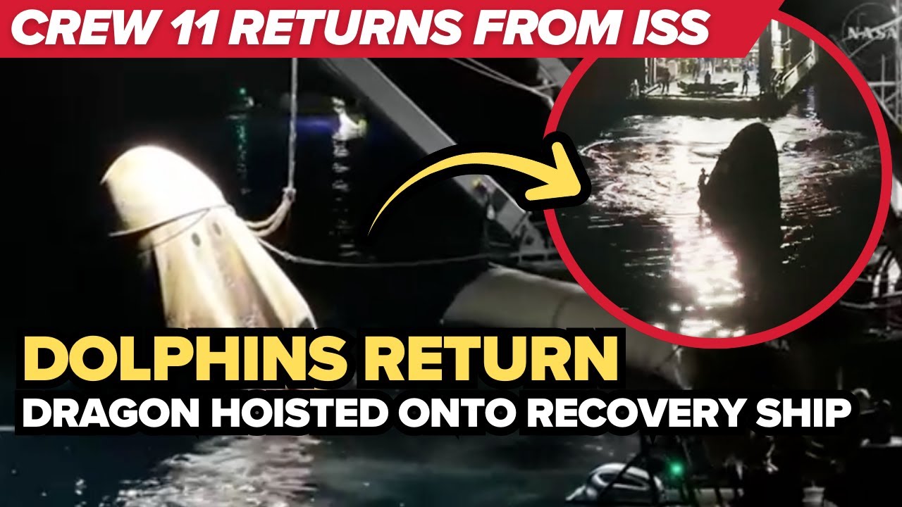 Watch: SpaceX hoists Dragon, Crew 11 onto the recovery ship, Dolphins circle