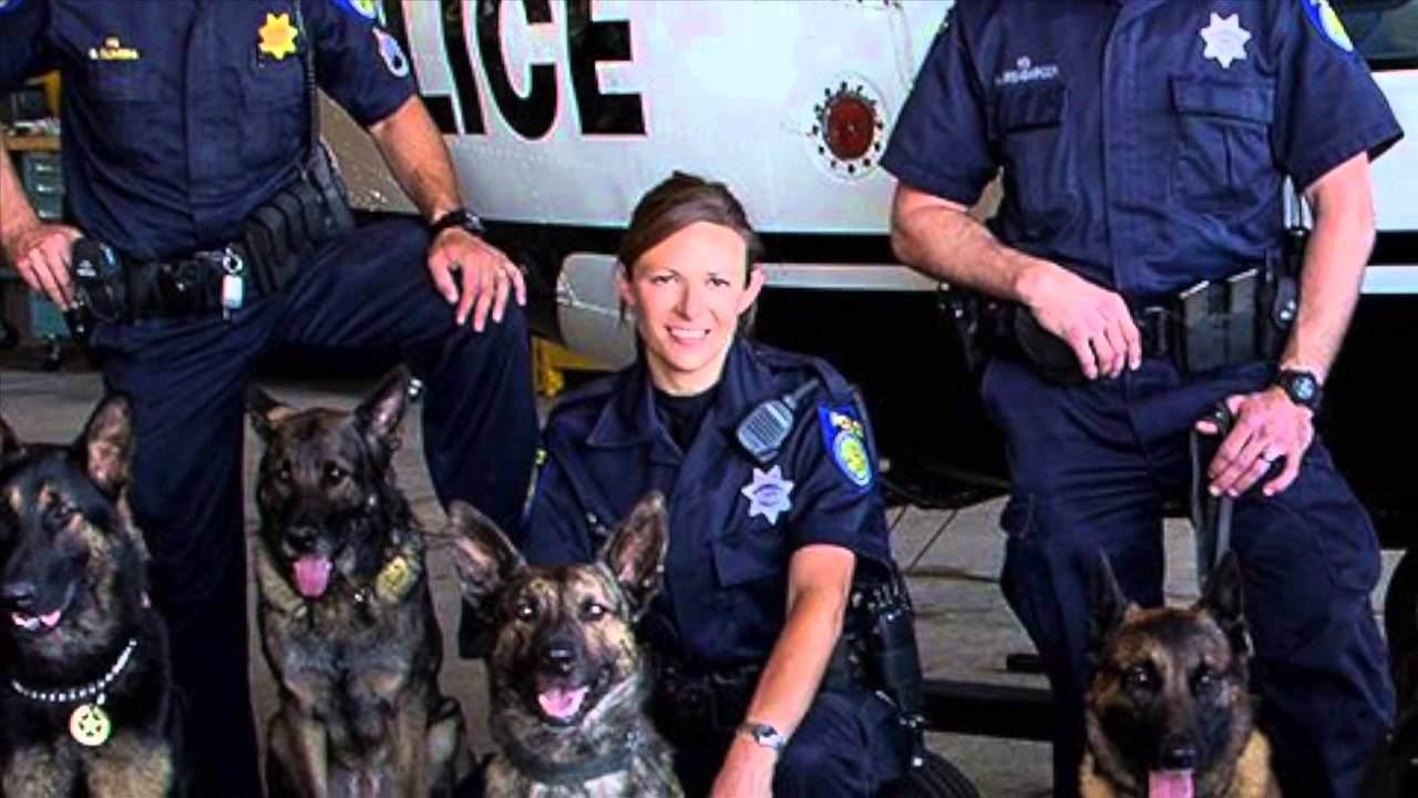 PORAC Salutes Women in Law Enforcement: Sacramento PD K9 Officer Linda Matthew