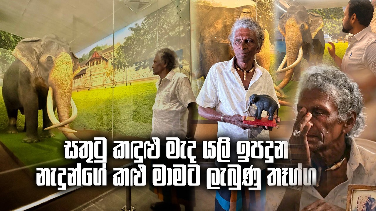 සතුටු කඳුළු මැද යලි ඉපදුන නැදුන් ගේ කළු මාමට ලැබුණු තෑග්ග