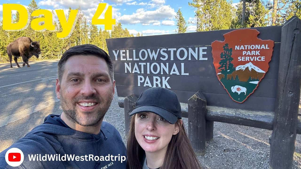We explore Yellowstone's North Loop in one day and get close and personal with Bison!