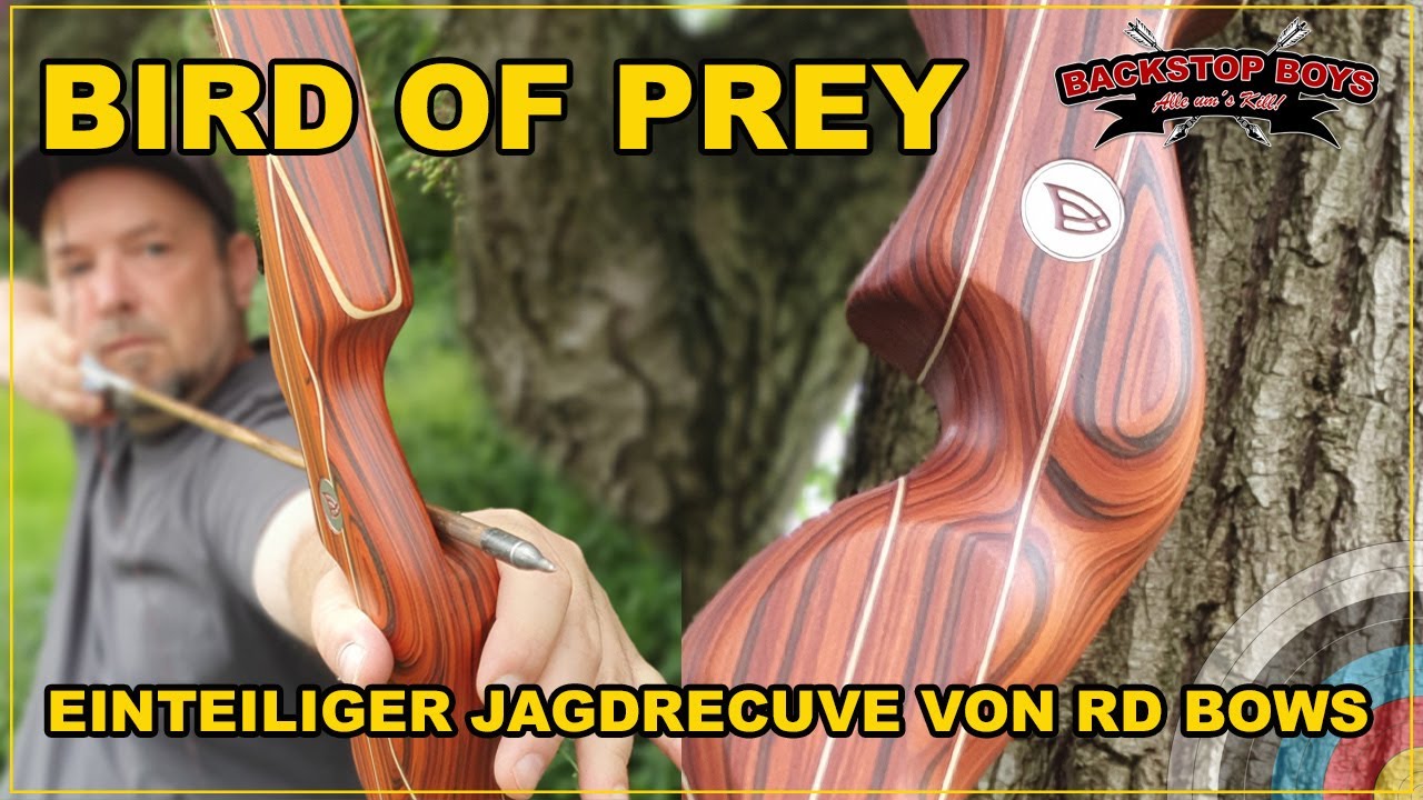 Kurzvorstellung: Neuer Jagdrecurve | BIRD OF PREY | bei RD Bows