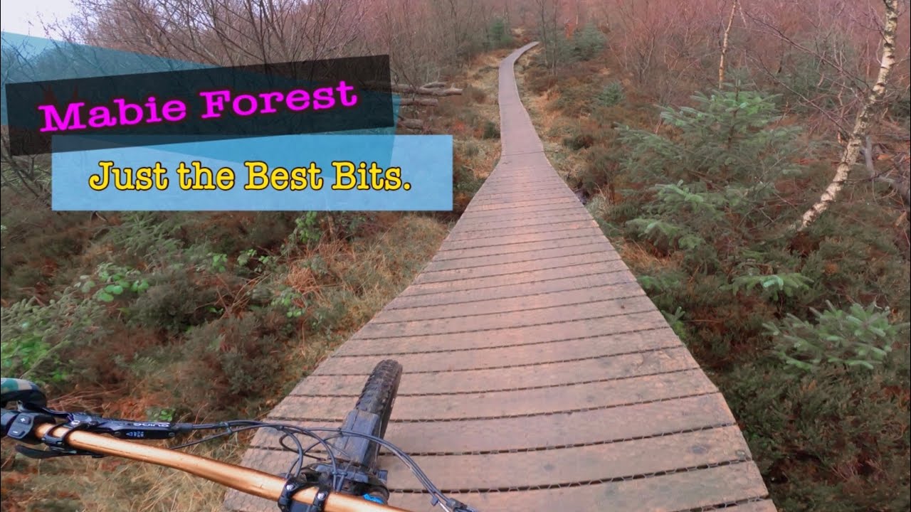 Mabie Forest. Just the best bits. 7 Stanes.