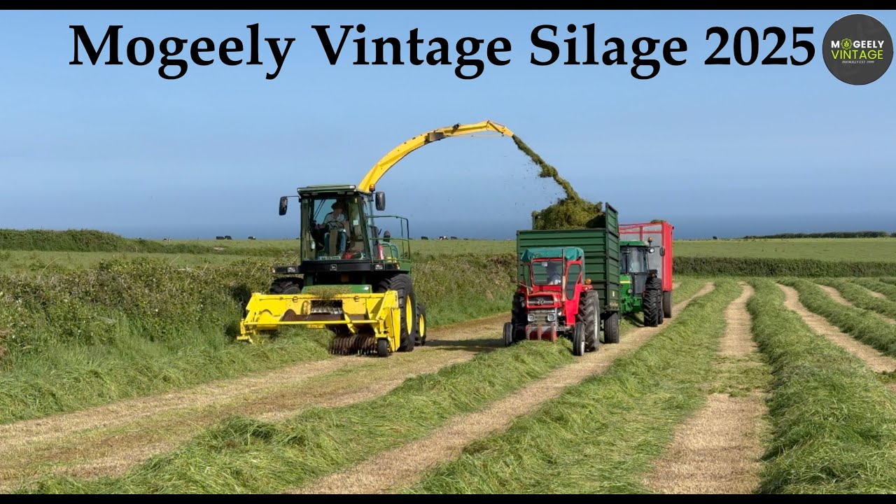 Mogeely Vintage Silage 2025
