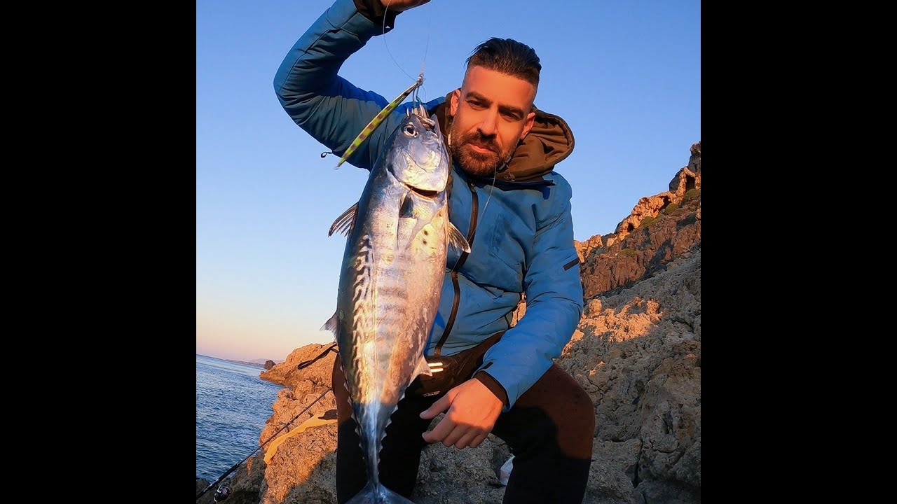 shore jigging live strike albacore