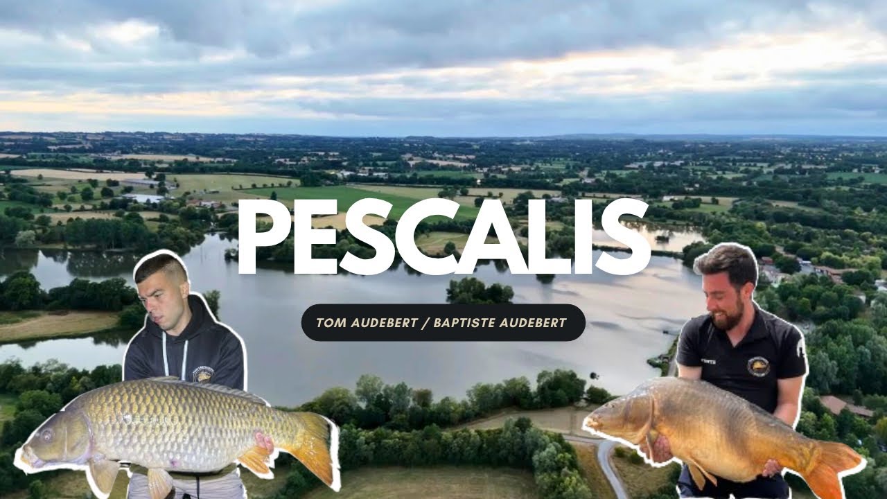 PESCALIS - BIG FISH 20+ | Pêche de la carpe