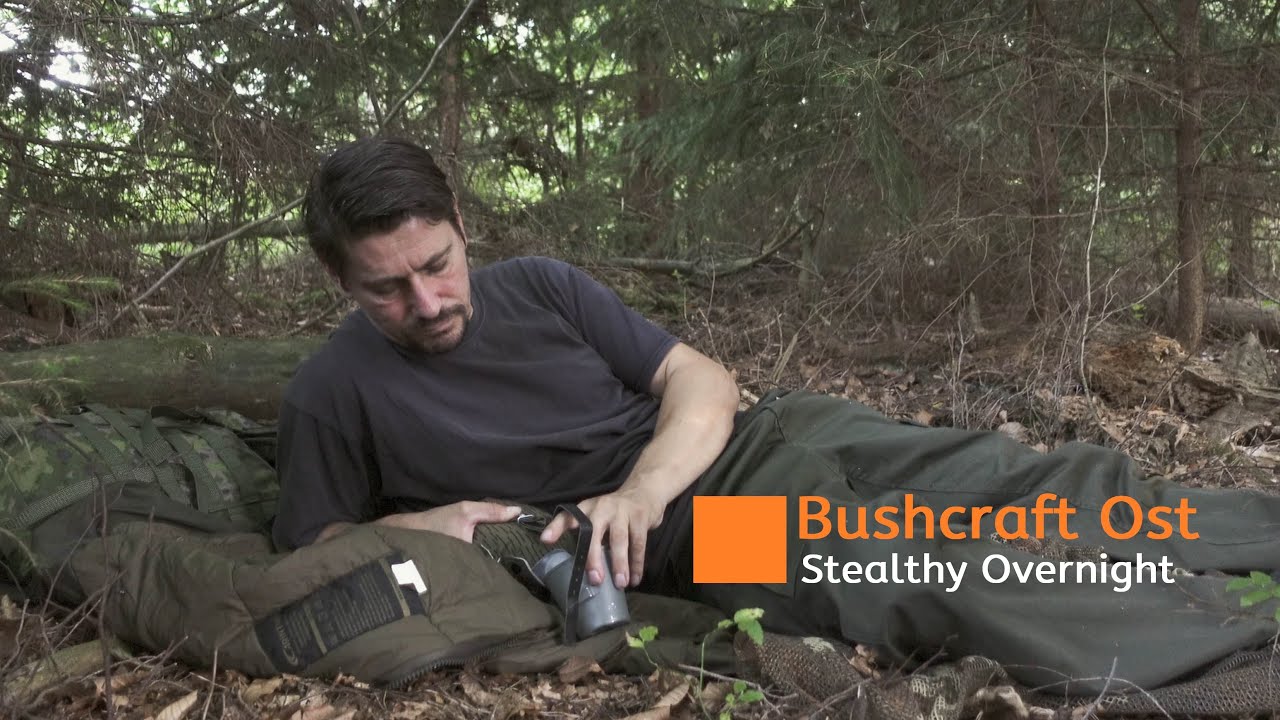 Stealthy Overnight 
