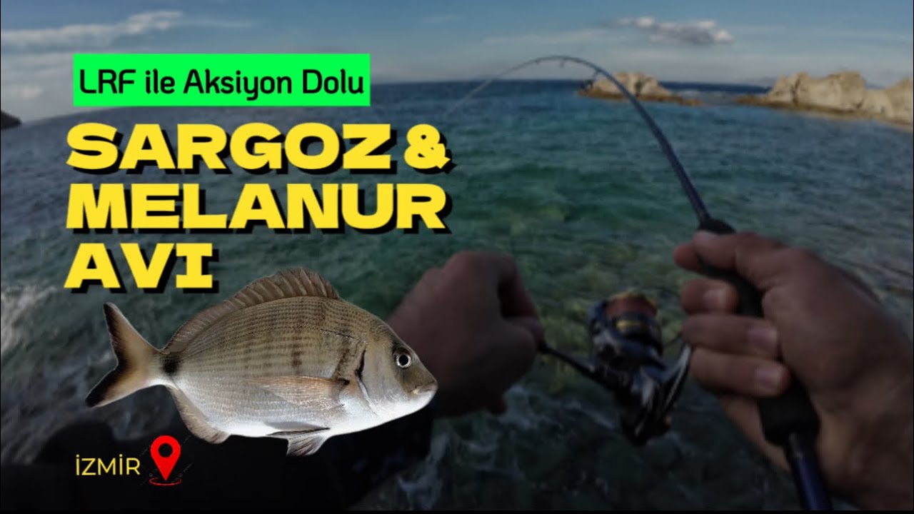 AKSİYON DOLU SARGOZ ve MELANUR AVI | MELANUR İLE TANIŞTIK | İZMİR’DE CENNET GİBİ KOYLAR BULDUK