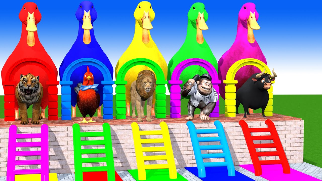 Long Slide Game With Cow Elephant Gorilla Hippopotamus Tiger 3d Animal Game Funny 3d Animals