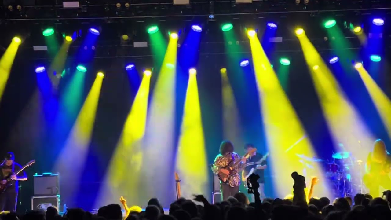 Psychedelic Porn Crumpets - “The Real Contra Band”